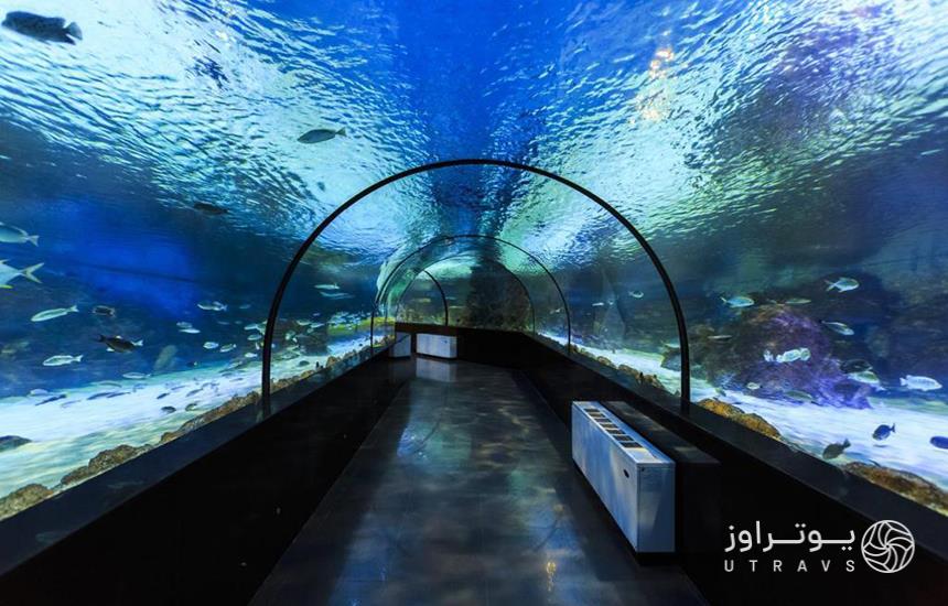 تونلی شیشه‌ای که داخل آن ماهیان مختلف درحال شنا هستند و فضایی زیر آن برای قدم زدن بازدیدکنندگان تعبیه شده‌است.